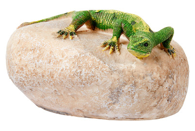 Image of Home and More Eidechse Linus auf Stein 12.5 x 6 x 10 cm bei JUMBO