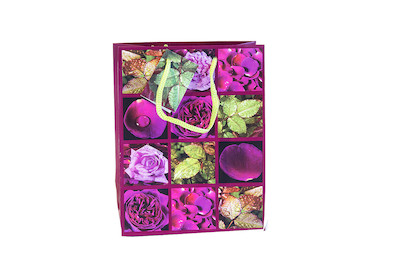 Image of Tragetasche 18 x 23 x 9.5 cm ass. bei JUMBO