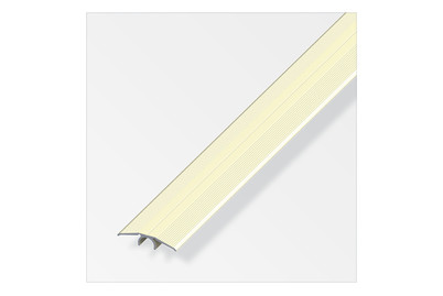 Image of Parkett Übergangsprofil Alu 1 m a=33 mm champagner, geschrumpft bei JUMBO