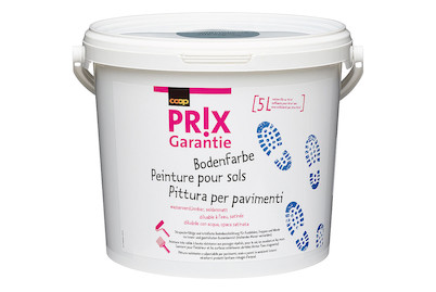 Image of Prix Garantie Bodenfarbe 5 l silber-grau bei JUMBO