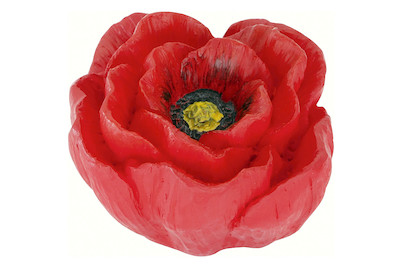 Image of Möbelknopf rot H123-50A54 bei JUMBO