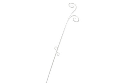 Image of Orchideenstab transparent bei JUMBO