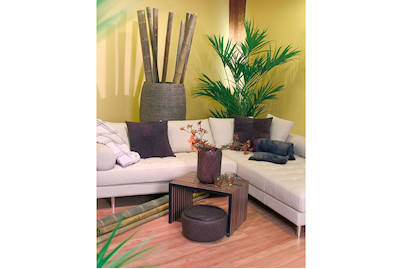 Image of Dekorbambus natur ø 2-2.5 cm bei JUMBO