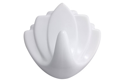 Image of Lotushaken weiss bei JUMBO