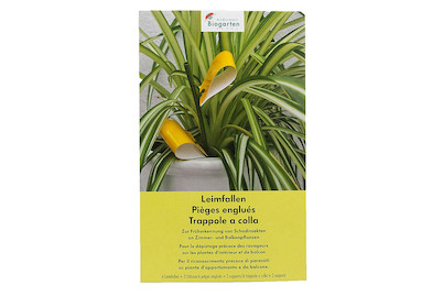 Image of Leimfallen bei JUMBO