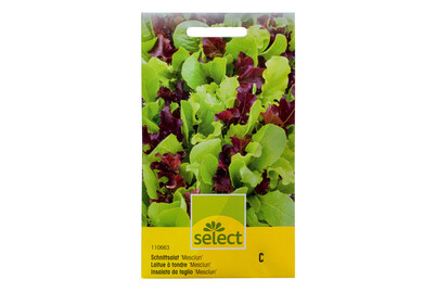 Image of Select Schnittsalat Mesclun bei JUMBO