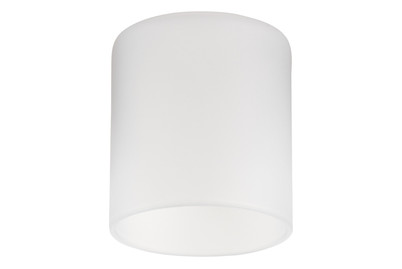 Image of Paulmann DecoSystems Glas Schirm Zyli bei JUMBO