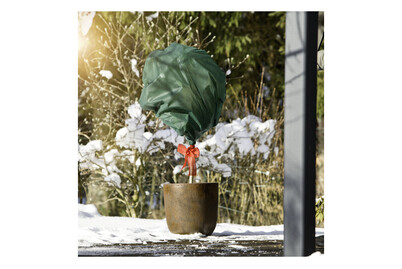 Image of Winter-Vlies Deko bei JUMBO