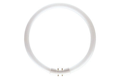Image of Philips Röhre TL5 Circular 40W warmweiss, Leuchtstofflampe bei JUMBO