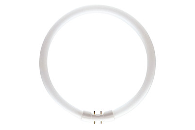 Image of Philips Röhre TL5 Circular 40W warmweiss, Leuchtstofflampe