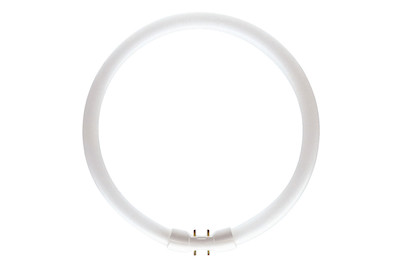 Image of Philips Röhre TL5 Circular 22W warmweiss, Leuchtstofflampe bei JUMBO