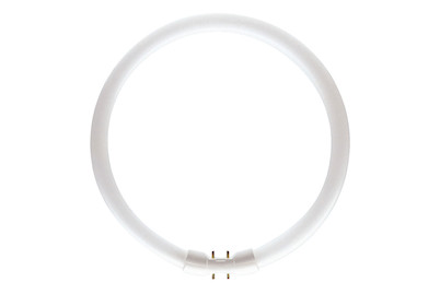 Image of Philips Röhre TL5 Circular 22W warmweiss, Leuchtstofflampe