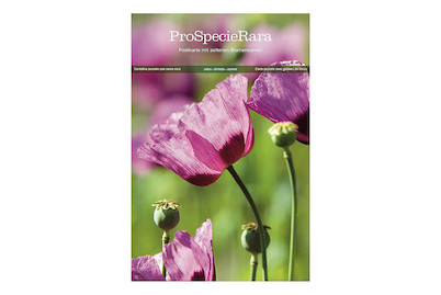 Image of ProSpecieRara Bio Mohn Planète rouge du Jura bei JUMBO