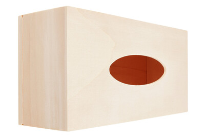 Image of Oecoplan Holztissuebox 29x13x9cm bei JUMBO