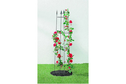 Image of Old Garden Obelisk Padon 250 cm bei JUMBO