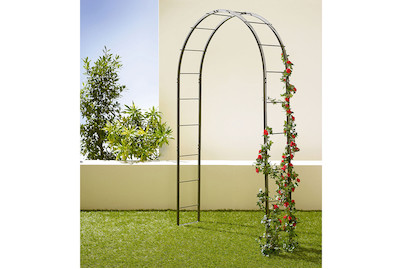 Image of Old Garden Rosenbogen Lena schwarz bei JUMBO