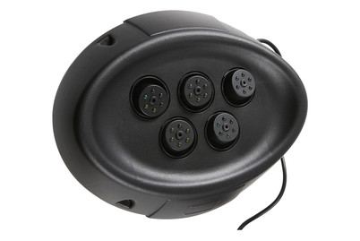 Image of Water Starlet bei JUMBO