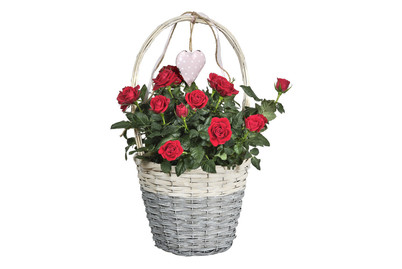 Image of Festtag Rosenkorb Ø22 bei JUMBO