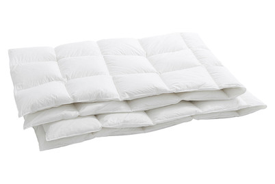 Image of billerbeck Duvet Bern 90 200x210 bei JUMBO