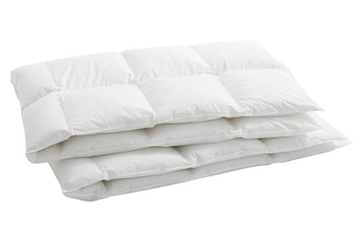 Image of Duvet Luzern 90, 200 x 210 cm bei JUMBO