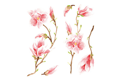 Image of Wall Sticker Magnolia bei JUMBO