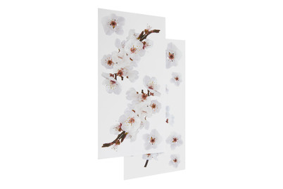 Image of Wall Sticker Photographic Blossom bei JUMBO