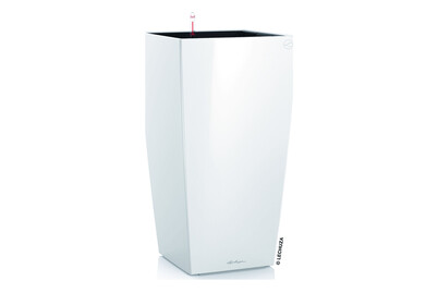 Image of Lechuza Cubico Premium 40 weiss bei JUMBO