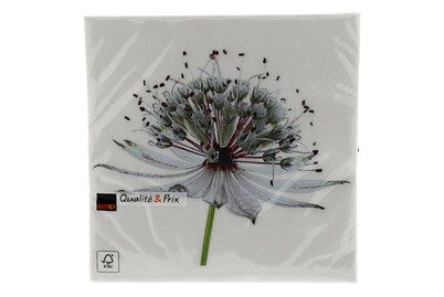 Image of Servietten Astrantia 20 Stück bei JUMBO