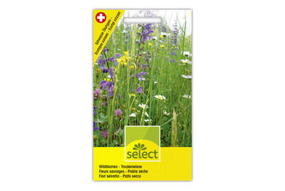 Image of Wildblumen - Trockenwiese bei JUMBO