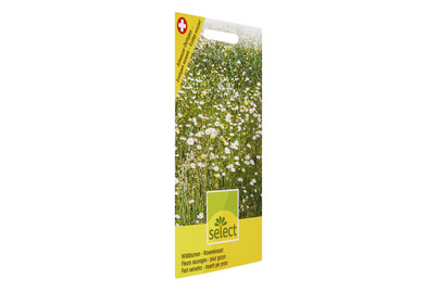 Image of Wildblumen - Raseneinsaat bei JUMBO