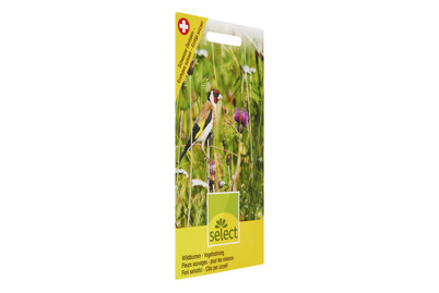 Image of Wildblumen - Vogelnahrung bei JUMBO