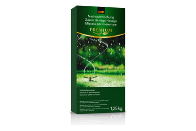 Image of Nachsaatmischung 1.5 kg bei JUMBO