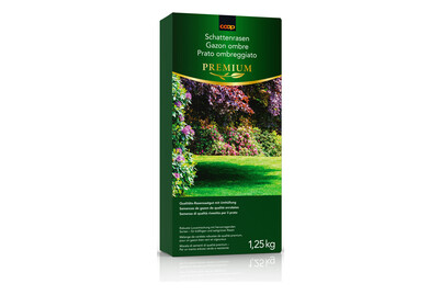 Image of Schattenrasen 1 kg bei JUMBO