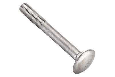 Image of Flachrundschraube rostfrei M6x30 mm 2 Stück bei JUMBO