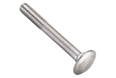 Image of Flachrundschraube rostfrei M8x40 mm 4 Stück bei JUMBO