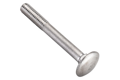 Image of Flachrundschraube rostfrei M8x60 mm 4 Stück bei JUMBO