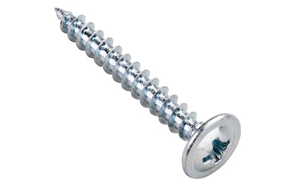 Image of Rückwandschraube Z 4.5x30 mm 10 Stück bei JUMBO