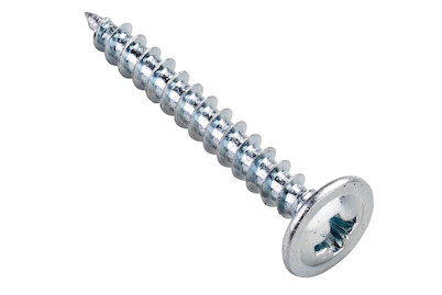 Image of Rückwandschraube Z 4.5x40 mm 10 Stück bei JUMBO