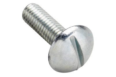 Image of Becherschrauben verzinkt M5x16 mm 10 Stück bei JUMBO