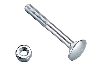 Image of Flachrundschrauben 10x80 mm 4 Stück bei JUMBO