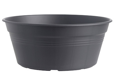 Image of Elho Provence Schale ø 33 cm schwarz bei JUMBO