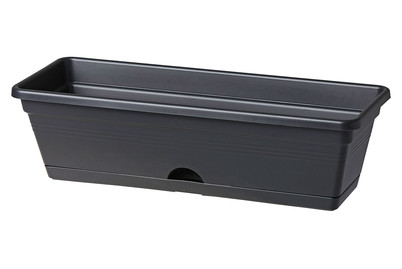 Image of Green Basics Trough 50 cm schwarz bei JUMBO