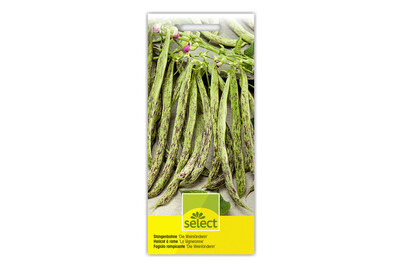 Image of Stangenbohne bei JUMBO