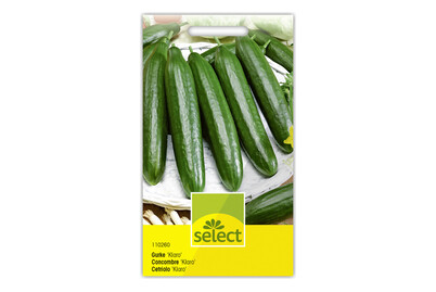 Image of Gurke bei JUMBO