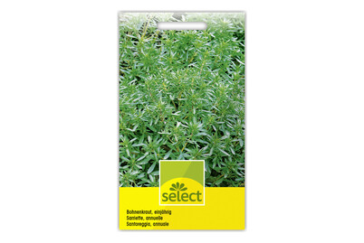 Image of Bohnenkraut Einjährig bei JUMBO