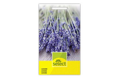 Image of Lavendel bei JUMBO