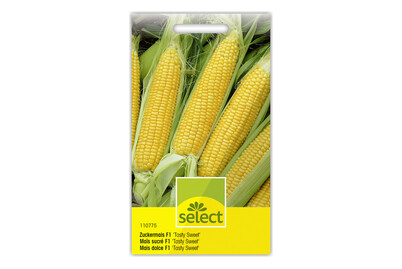 Image of Zuckermais bei JUMBO