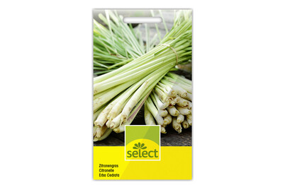 Image of Zitronengras bei JUMBO