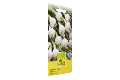 Image of Küchenzwiebel bei JUMBO