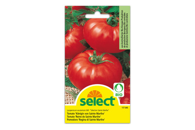 Image of BIO-Tomate Königin VON S.marthe bei JUMBO